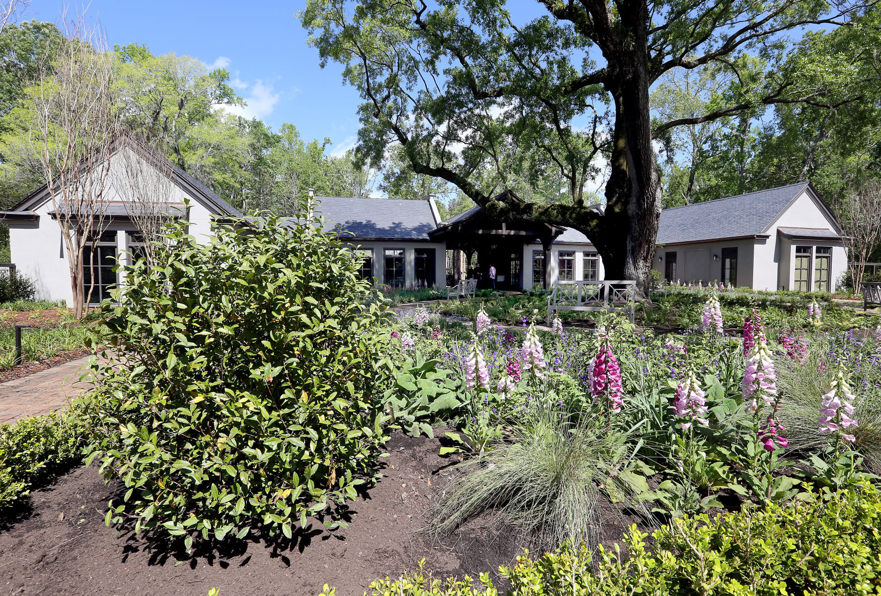 Drayton Hall Visitors Center